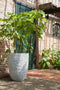Capi Europe - Vaas elegant laag Row NL - 46x58 - Antraciet - Opening Ø38 - Bloempot voor binnen en buiten - Levenslang garantie - Breukbestendig - 100% Recyclebaar - CO2 Neutraal geproduceerd - KRWZ783