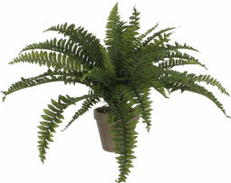 Mica Decorations Varen - Kunstplant - 45 x 70 cm - Groen