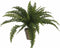 Mica Decorations Varen - Kunstplant - 45 x 70 cm - Groen