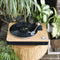 House of Marley Stir It Up USB Platenspeler - Voorversterker - duurzaam gemaakt - bamboo