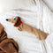 Bitten Design Teckel Warmtekussen - Teckel - warmteknuffel - magnetronknuffel Kersenpitkussen