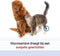 Pharmox Hond & Kat Glucosamine - Glucosaminesupplement 1000 ml - Ondersteunt gewrichten