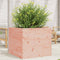 vidaXL - Plantenbak - 80x80x68,5 - cm - massief - douglashout