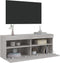vidaXL - Tv-wandmeubel - met - LED-verlichting - 100x30x40 - cm - grijs - sonoma