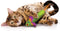 Petstages Magic Mightie Mouse Groen