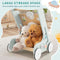 coast Baby Loopwagen - Houten 8-in-1 Activiteitencentrum - Groen - 35 x 33 x 47 cm