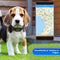 Exclusive by TW - GPS Tracker - Waterdicht - Live Tracken - Zwart