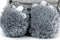 Dog toy Gloria 20 x 35 cm Grey Monster Polyester polypropylene