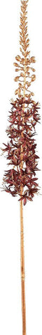 PTMD Twig Plant Eremurus Kunsttak - 43 x 8 x 86 cm - Rood/Goud