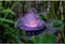 Pontec 87989 PondoFog RGB Waterspelen