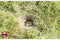 Gardigo Alu Basic Mollenverschrikker Functies: Trillingen Werkingssfeer: 700 m² 1 stuk(s)