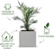 Elho Vivo Next - Plantenbak - 100% Gerecycled Plastic - L 29.5 x H 29.5 cm - Living Concrete
