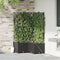 vidaXL - Tuinplantenbakken - met - waterirrigatiesysteem - - - 3 - stuks - - - Zwart