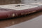MOAI Touring 12'6 (Limited Edition) - Opblaasbare supboard - 15PSI - Allround - Gevorderd - Suppen
