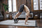 Modern Movement Edge Board 2.0 Extension Trainer - AB Trainer - Buikspiertrainer - Ab Roller - Ab Wheel