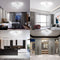 Moderne LED-kroonluchter 36W LED-plafondlamp Bloemblaadje Acryl Led-hanglampen voor badkamer Woonkamer Slaapkamer 6500K koud wit licht doorsnede 22 cm ipv 25 cm