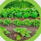 Moestuin grond aarde 20 liter