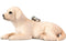 Mojo Farm & Pets Sleutelhanger Golden Retriever Puppy - 387465