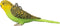 Mojo Farm & Pets Sleutelhanger Grasparkiet Groen - 387460