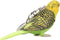Mojo Farm & Pets Sleutelhanger Grasparkiet Groen - 387460