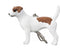Mojo Farm & Pets Sleutelhanger Jack Russell - 387457