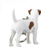 Mojo Farm & Pets Sleutelhanger Jack Russell - 387457