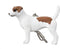 Mojo Farm & Pets Sleutelhanger Jack Russell - 387457