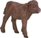 Mojo Farm speelgoed Hoogland Kalf - 387202
