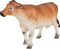 Mojo Farm speelgoed Jersey Koe - 387117