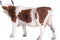 Mojo Farm speelgoed Simmental Koe - 387220