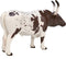 Mojo Farm speelgoed Texas Longhorn Stier - 387222