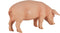 Mojo Farm speelgoed Varken (Zwijn) - 387080