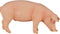 Mojo Farm speelgoed Varken (Zwijn) - 387080