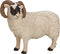 Mojo Farm speelgoed Zwartkopschaap (Ram) - 387081