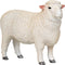 Mojo Farmland Romney Schaap Ram - 381063