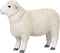 Mojo Farmland Romney Schaap Ram - 381063