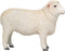 Mojo Farmland Romney Schaap Ram - 381063