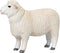 Mojo Farmland Romney Schaap Ram - 381063