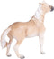 Mojo Horse World Brumby Merrie 381059