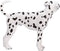 Mojo Pets speelgoed Dalmatiër - 387248