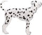 Mojo Pets speelgoed Dalmatiër - 387248