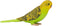 Mojo Pets speelgoed Grasparkiet Groen - 387262
