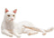 Mojo Pets speelgoed Kat Liggend Wit - 387368