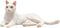 Mojo Pets speelgoed Kat Liggend Wit - 387368