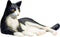 Mojo Pets speelgoed Kat Liggend Zwart Wit - 387367