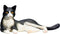 Mojo Pets speelgoed Kat Liggend Zwart Wit - 387367