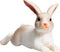 Mojo Pets speelgoed Liggend Konijn - 387142