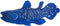 Mojo Sealife Coelacanth 381050