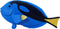 Mojo Sealife speelgoed Blauwe Tang Vis - 387269