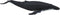 Mojo Sealife speelgoed Bultrug Walvis - 387119